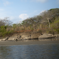 Similar image 7972944