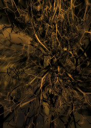 Similar image 7972945