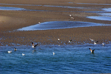 Similar image 7972948