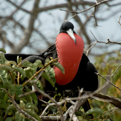 Similar image 7972949