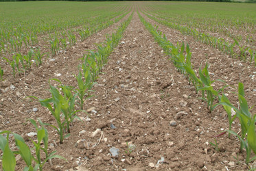 Similar image 7972958