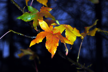 Similar image 7972960