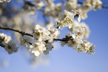 Similar image 7972970