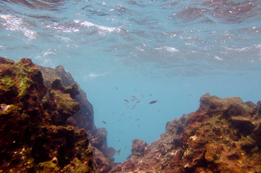 Similar image 7972972