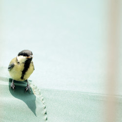 Similar image 7972976