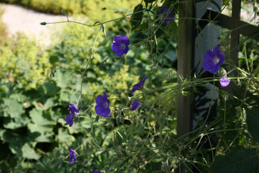 Similar image 7972982