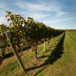 Similar image 7972983