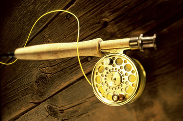 Similar image 7972988