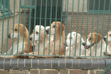 Similar image 7972993