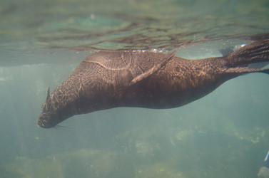 Similar image 7972999