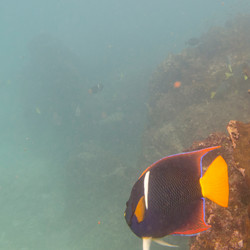 Similar image 7973006