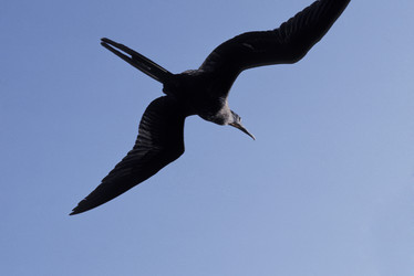 Similar image 7973011