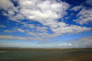 Similar image 7973013