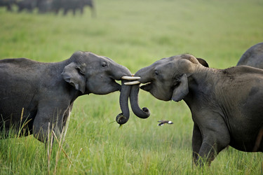 Similar image 7973021