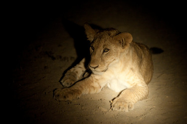 Similar image 7973025