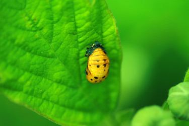 Similar image 7973039