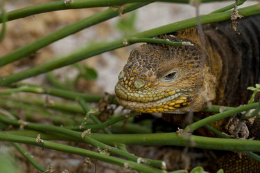 Similar image 7973042