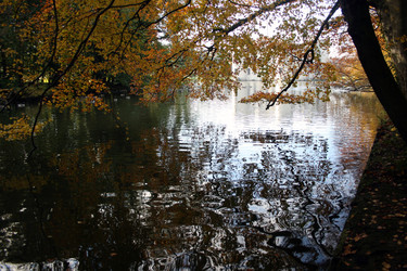 Similar image 7973045