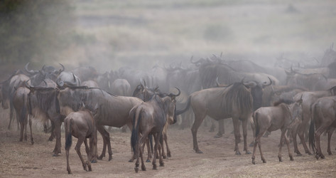 Similar image 7973049