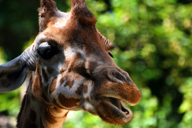 Similar image 7973050