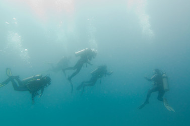 Similar image 7973053