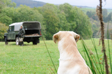 Similar image 7973058