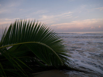 Similar image 7973066