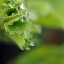 Similar image 7973072