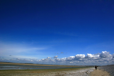 Similar image 7973077