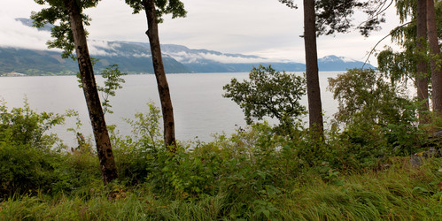 Similar image 7973094