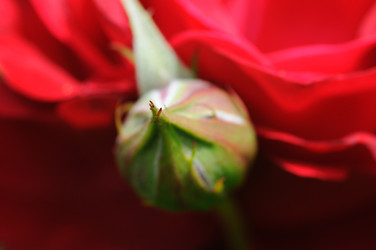 Similar image 7973096