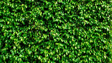 Similar image 7973098