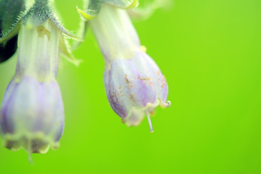 Similar image 7973101