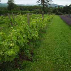 Similar image 7973106