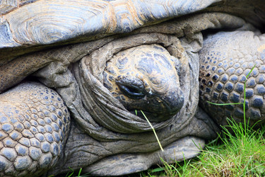 Similar image 7973109