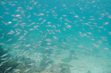 Similar image 7973112