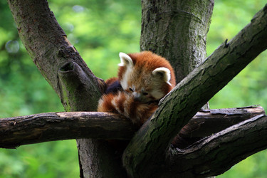 Similar image 7973121