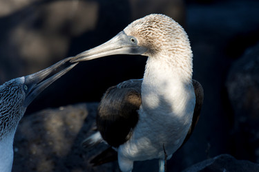 Similar image 7973132