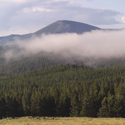 Similar image 7973134