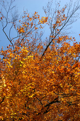 Similar image 7973152