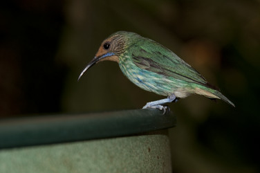 Similar image 7973158