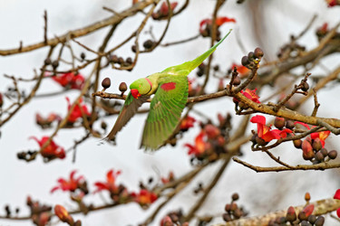 Similar image 7973168