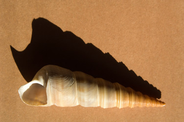 Similar image 7973169