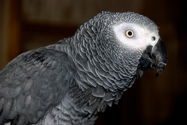 Similar image 7973173