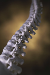 Similar image 7973619