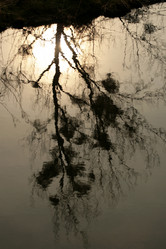 Similar image 7973636