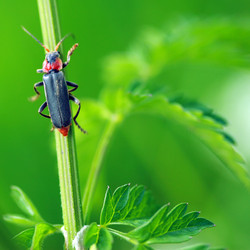 Similar image 7973642