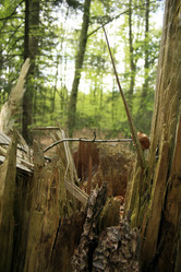 Similar image 7973643