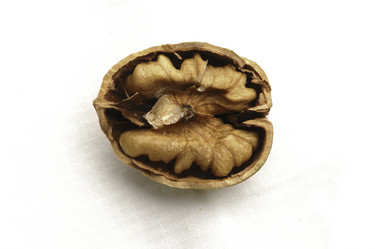 Similar image 7973651