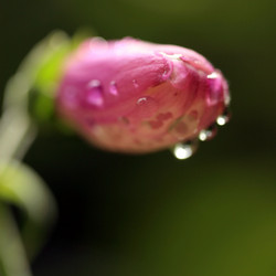 Similar image 7973652